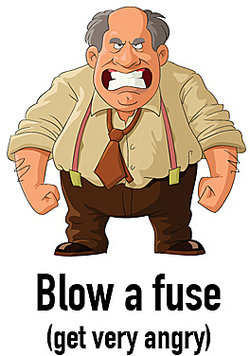 Image result for blow a fuse idiom