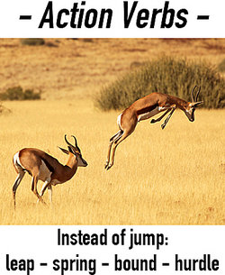 understanding action verbs will make students better writers and communicators