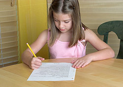 what is essay format journal style