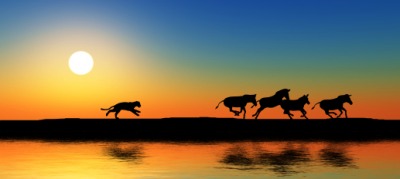 Why Do Animals Hide when they are Dying? Why Do Animals Hide when they are Dying?