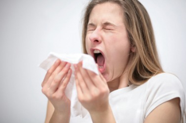 Sneeze