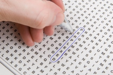 Wales Word Search