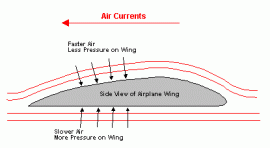 Bernoulli's principle