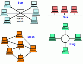 bus network