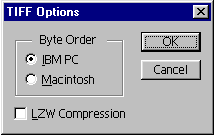 byte order