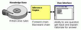 expert system