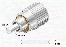 ferrule