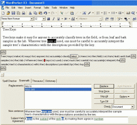 grammar checker