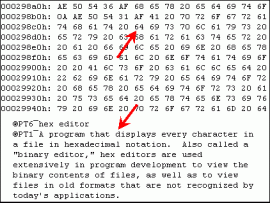 hex editor