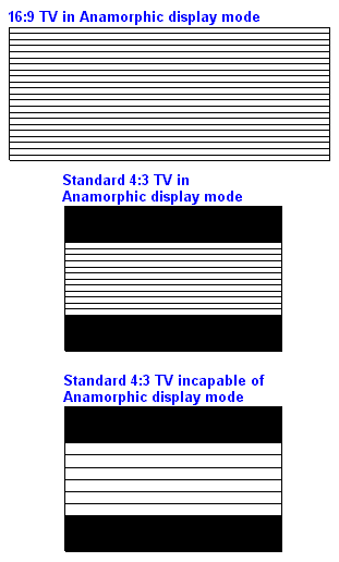 AMORFDVD.GIF