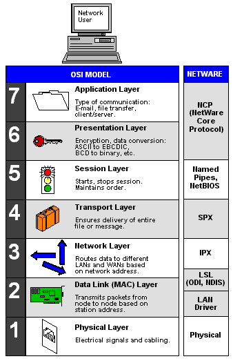 NETWARE.GIF