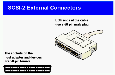 PLGSCSI2.GIF