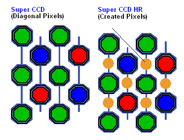 SCCD1.GIF