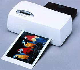 _CYPRINT.GIF