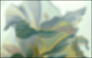 _F_GBLUR.GIF