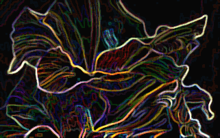 _F_GLOEJ.GIF