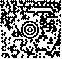 _MAXICOD.GIF