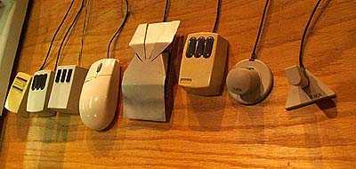 _MICE.JPG