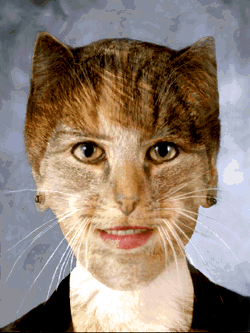 _MORF3.GIF