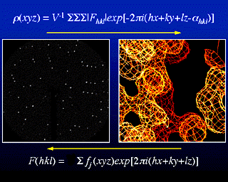 _SCIVIS1.GIF