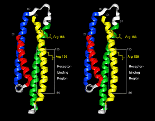 _SCIVIS3.GIF