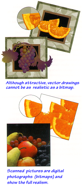 _VECTOR.GIF