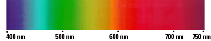 _VISLITE.GIF