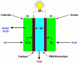 fuel cell