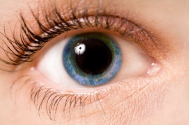 An eye with a dilated pupil. An eye with a dilated pupil.