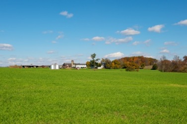 You can see a farmhouse far in the distance. You can see a farmhouse far in the distance.