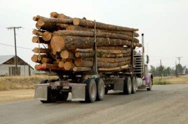 The freight being cared by this truck is logs. The freight being cared by this truck is logs.