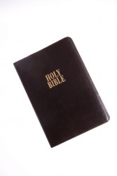 The Holy Bible. The Holy Bible.