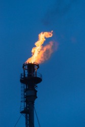 Gasoline is inflammable. Gasoline is inflammable.