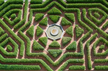 A maze in a formal garden. A maze in a formal garden.