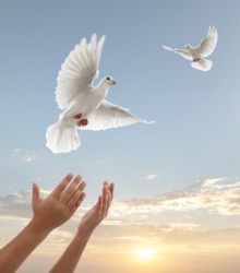 A pair of doves being released. A pair of doves being released.