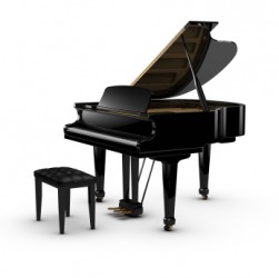 A black grand piano. A black grand piano.