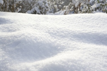 Snow is white. Snow is white.
