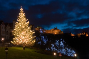 A Christmas tree alight. A Christmas tree alight.