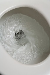 This toilet has been flushed. This toilet has been flushed.