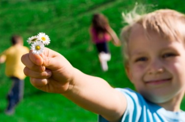 A little boy offers some flowers. A little boy offers some flowers.