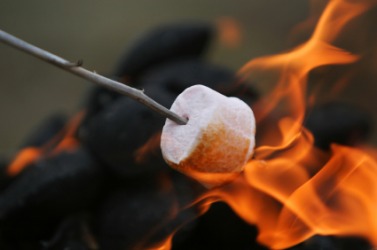 Toasting a marshmallow. Toasting a marshmallow.
