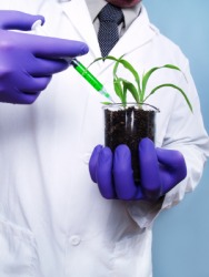 Biology is the science of living organisms. Biology is the science of living organisms.
