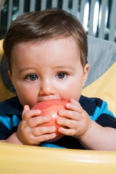 A child taking a bite out of an apple. A child taking a bite out of an apple.