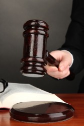 A judge pronounces a sentence for a crime. A judge pronounces a sentence for a crime.