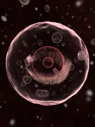 Cytoplasm is the substance that fills living cells. Cytoplasm is the substance that fills living cells.