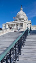 The government of the United States is a form of democracy. The government of the United States is a form of democracy.