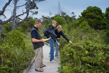 An example of ecology is the study of wetlands. An example of ecology is the study of wetlands.