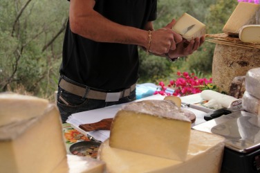 Cheese tastings being offered at an exposition. Cheese tastings being offered at an exposition.