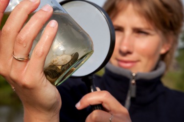 A biologist studies living organisms. A biologist studies living organisms.