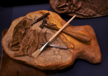 Paleontology is the study of dinosaurs. Paleontology is the study of dinosaurs.